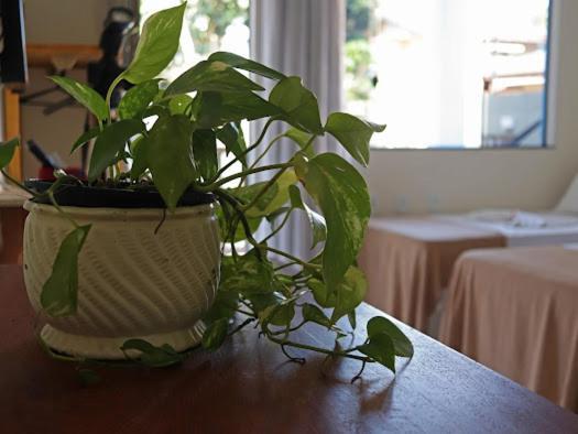 Apartamento Do Bruno